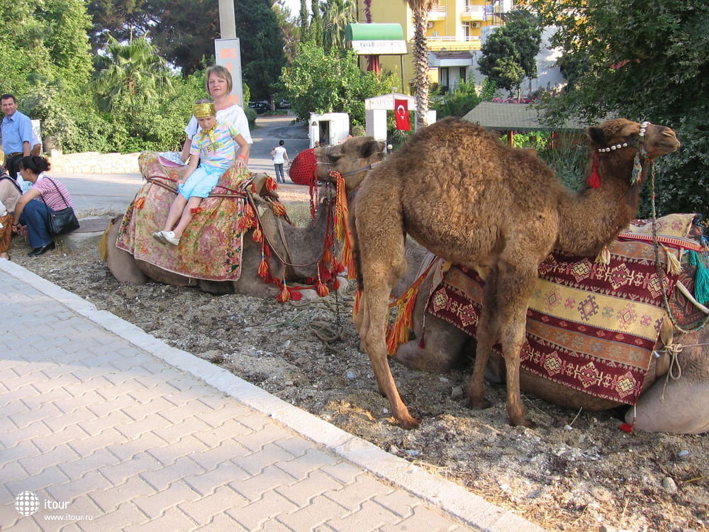 OZKAYMAK INCEKUM, Турция