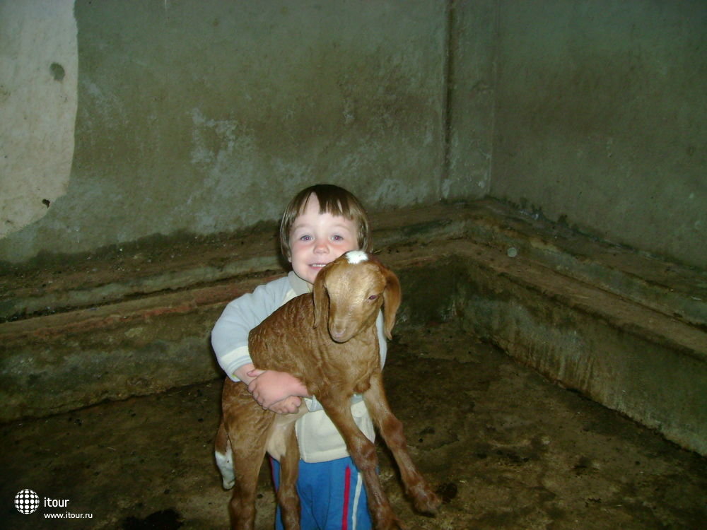 ALF LEILA WA LEILA, Египет