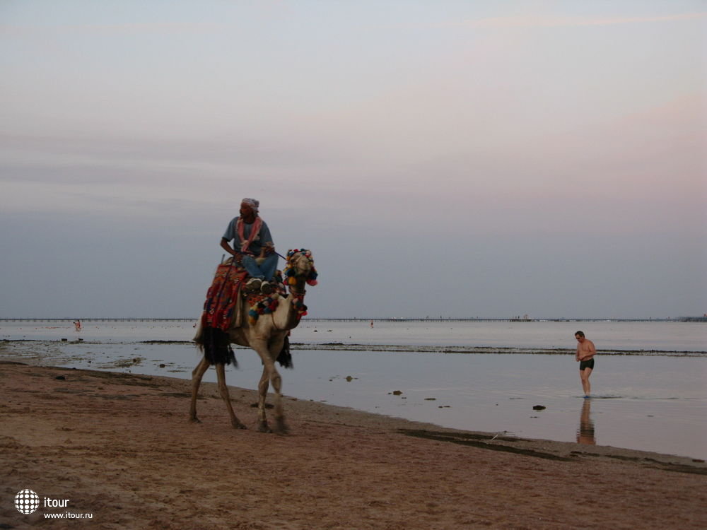 Tropicana Sea Beach , Египет