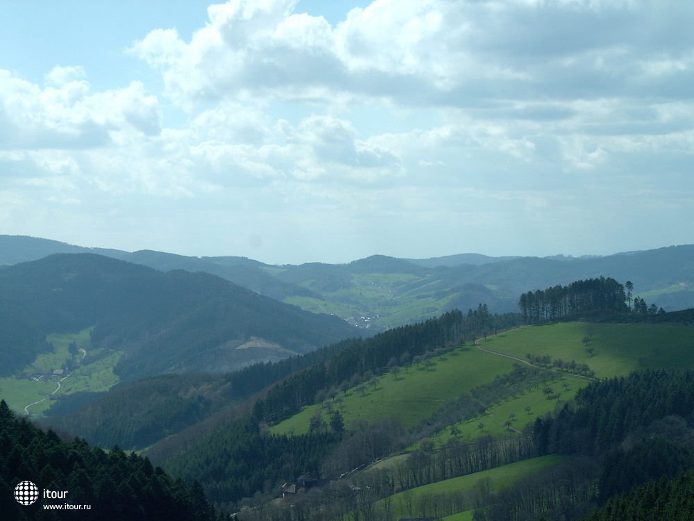 Schwartzwald (Black Forest)