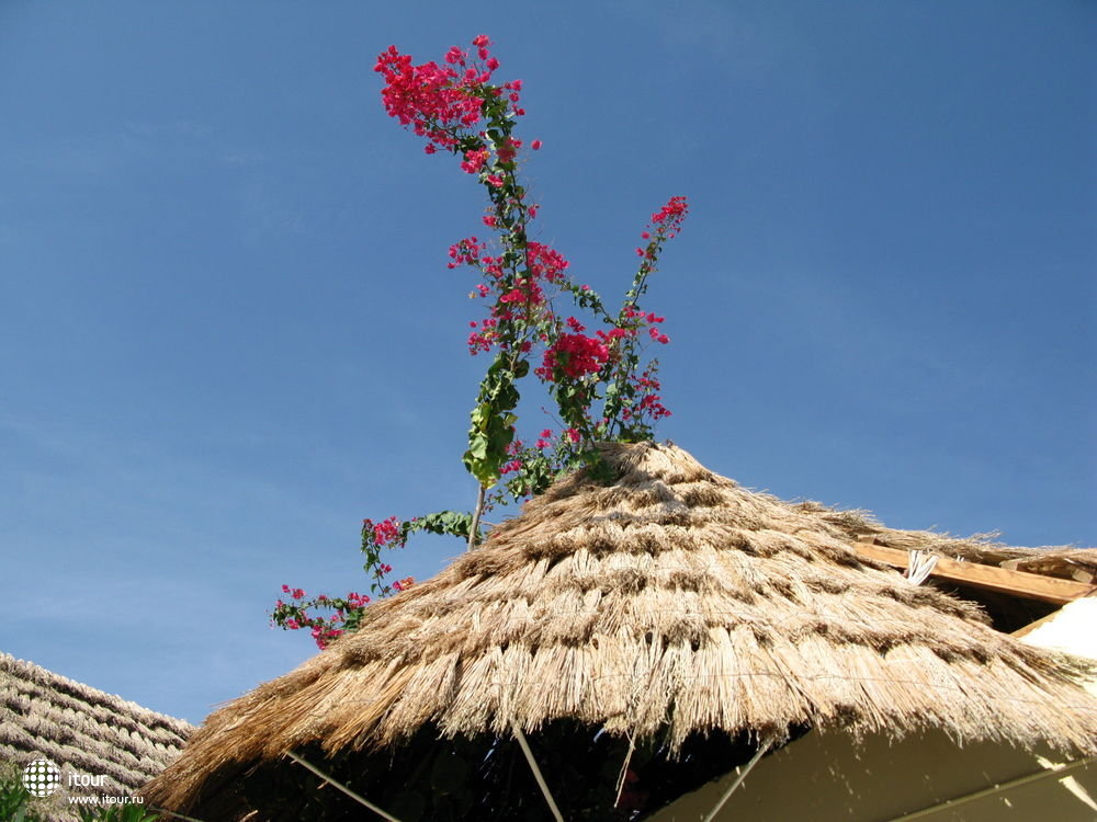 PANORAMA BUNGALOW RESORT HURGHADA, Египет