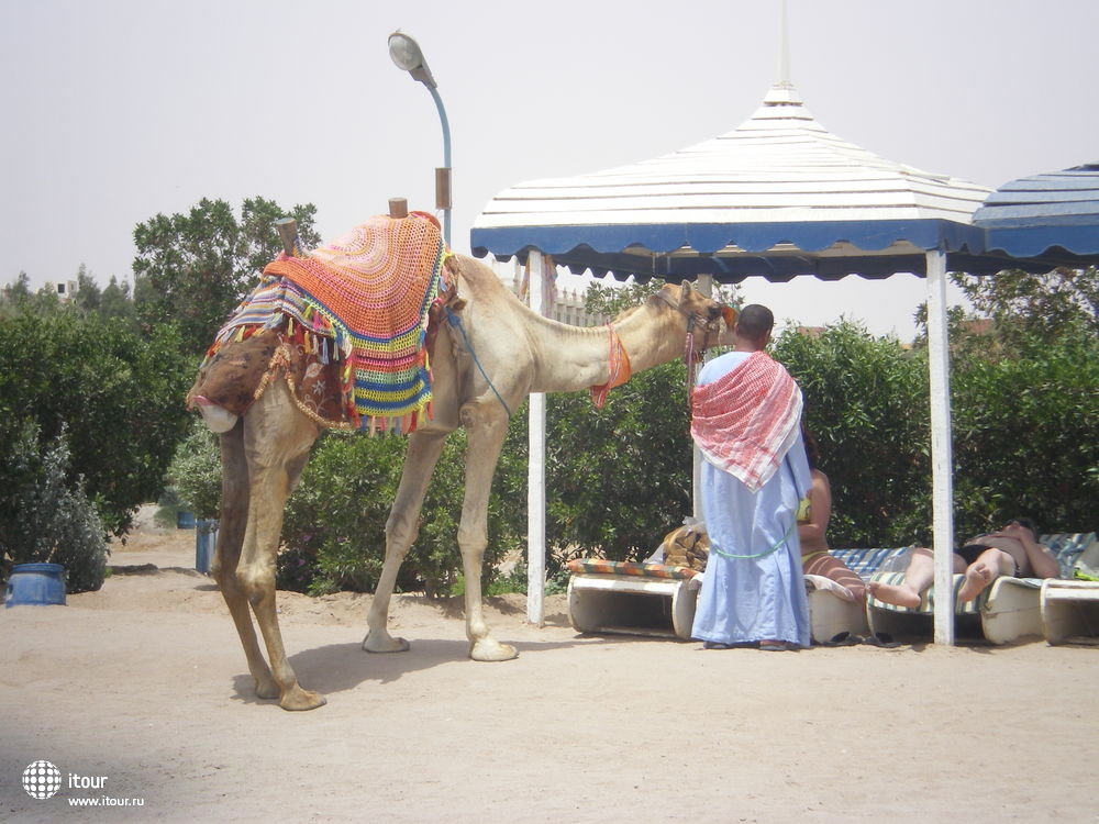 HOR PALACE, Египет