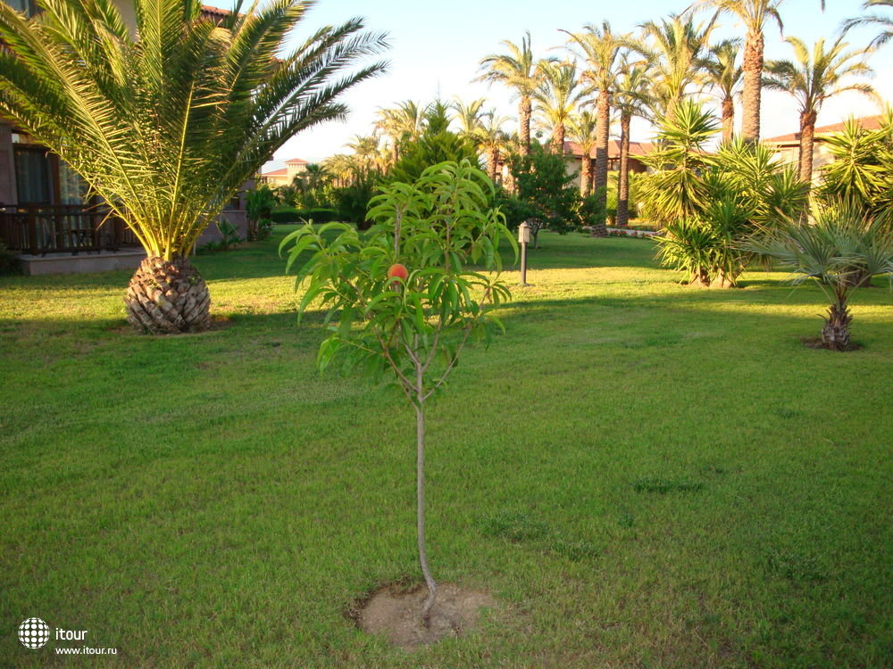 Iberotel Palm Garden , Турция