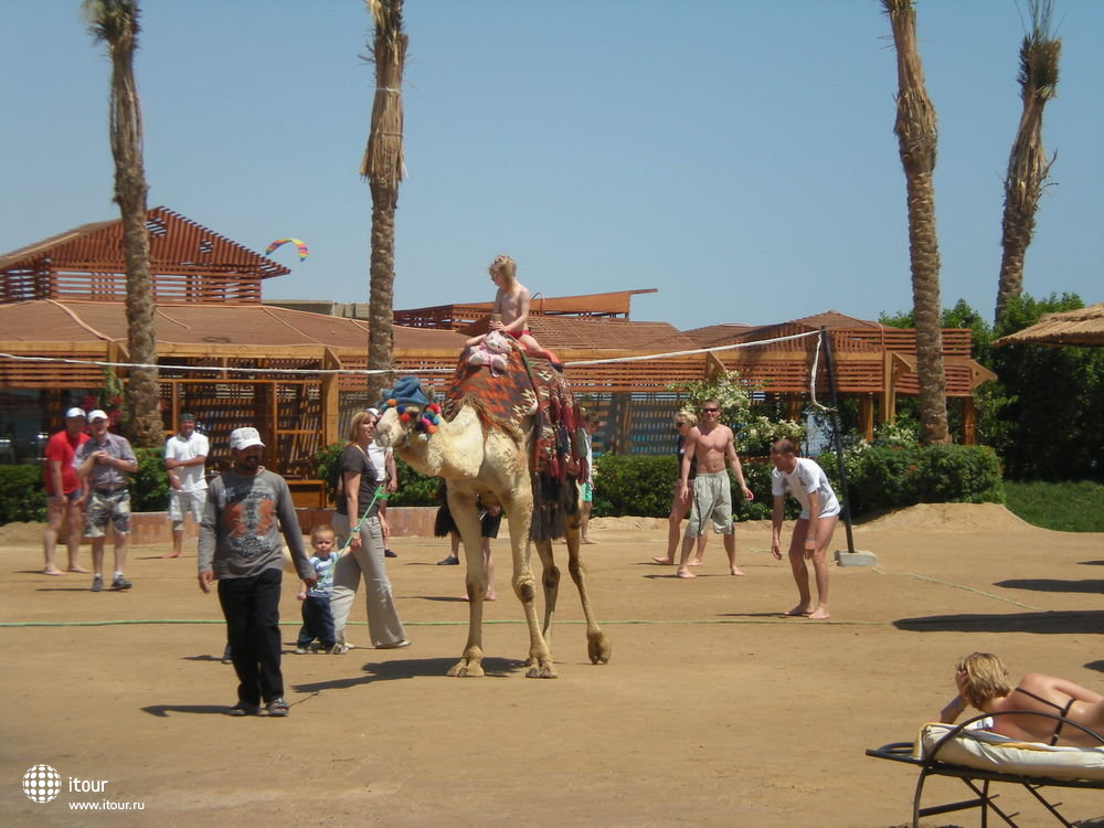 PANORAMA BUNGALOW RESORT HURGHADA, Египет