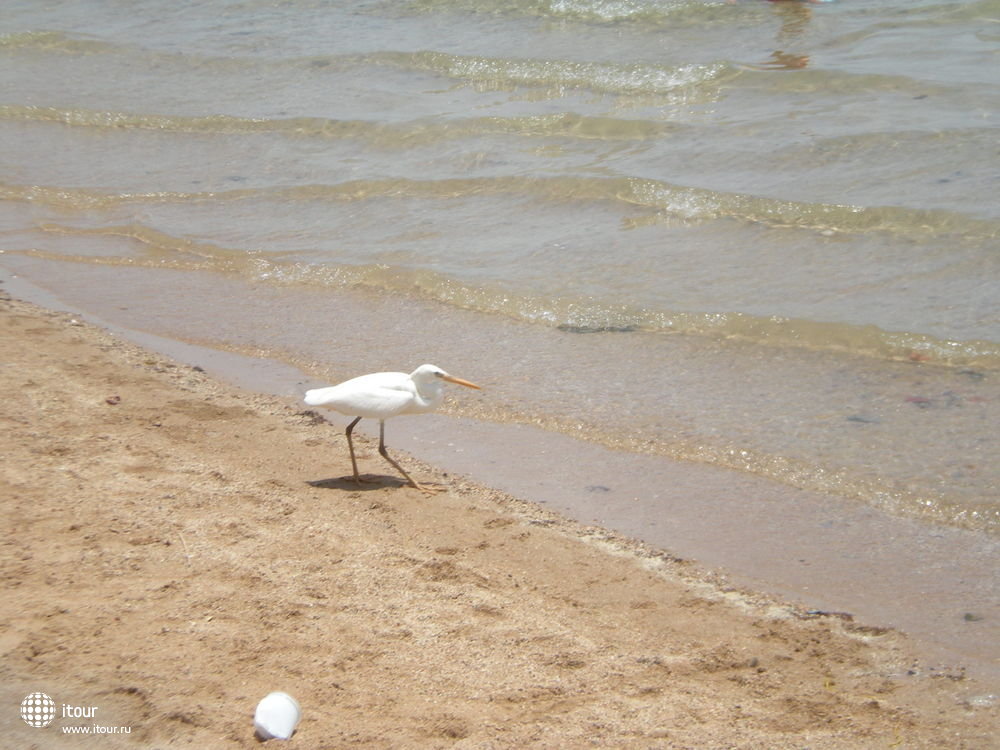 PANORAMA BUNGALOW RESORT HURGHADA, Египет