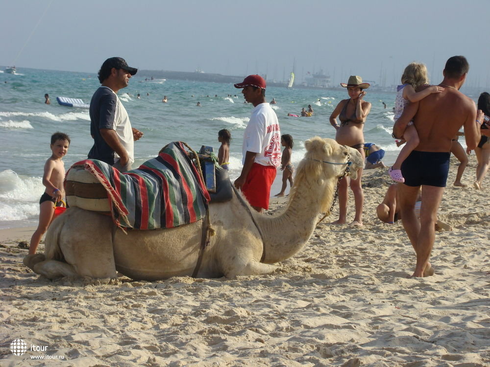 CARIBBEAN WORLD HAMMAMET, Тунис