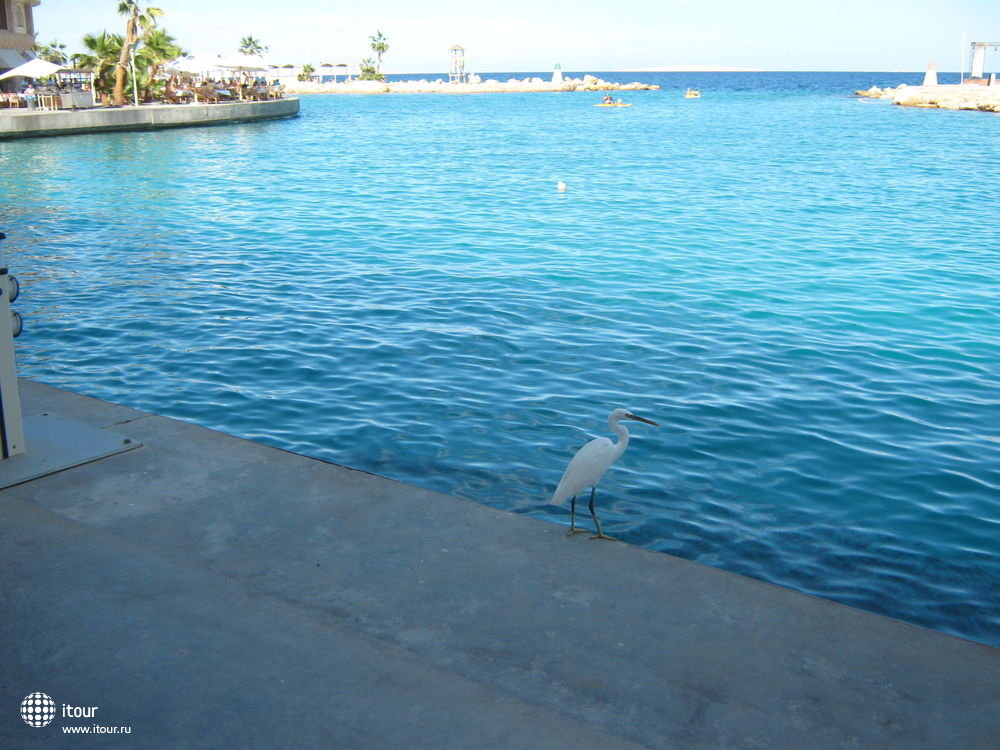 Citadel Azur Resort, Египет