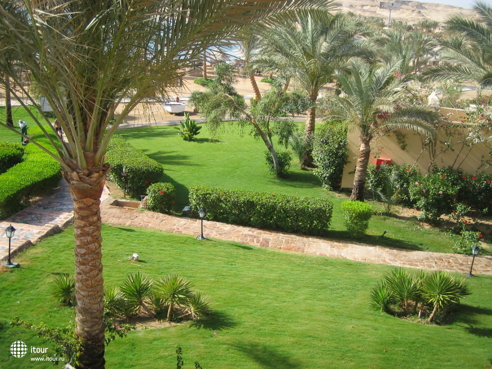 Iberotel Coraya Beach Resort, Египет