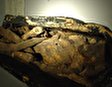 Музей мумификации