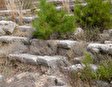 Руины античных городов Колофон и Нотион