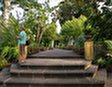 Старинный Ботанический Сад (Тенерифе)