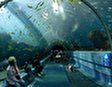 Посещение океанариума L'Aquarium