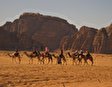 Прогулка на верблюдах (Шарм Эль-Шейх)