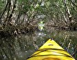 Экскурсия в мангровые болота Кан Зо