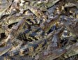 Экскурсия на горячие минеральные источники Бинь Чао с посещением крокодиловой фермы