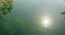 Пресноводное Озеро Курна 