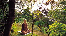 Международный Буддистский Центр Парамита