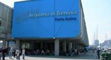 Аквариум Генуи (Acquario di Genova)