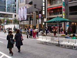Токио.Ноябрь 2007г.
