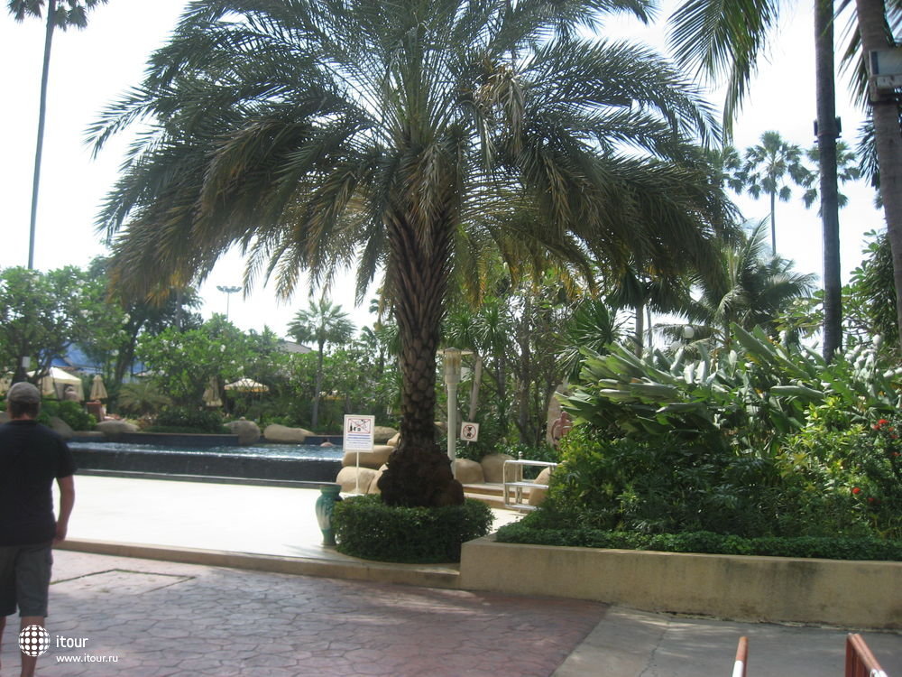 jomtien-palm-beach-167156