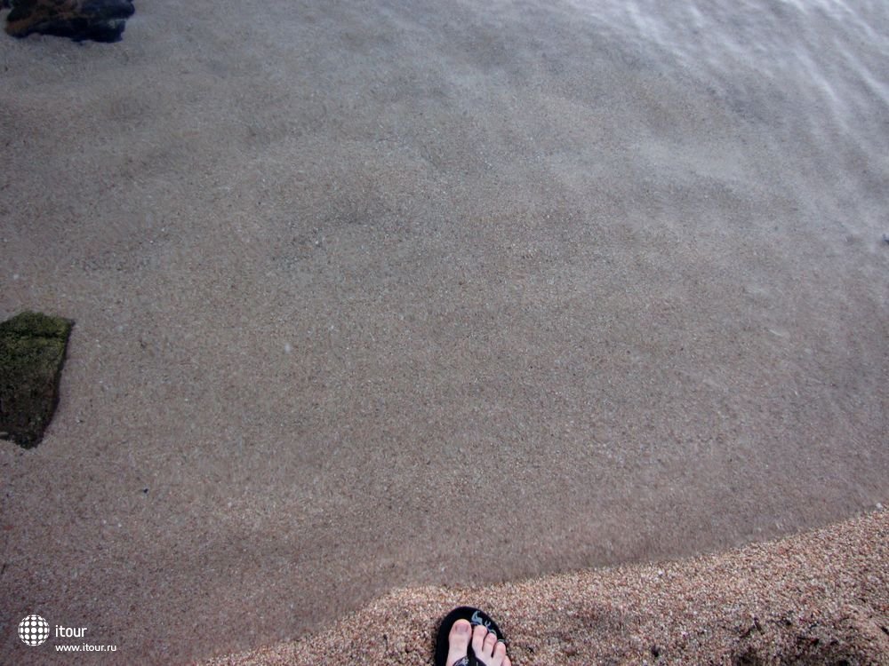Нога отдыхающего на фоне пляжа и воды 