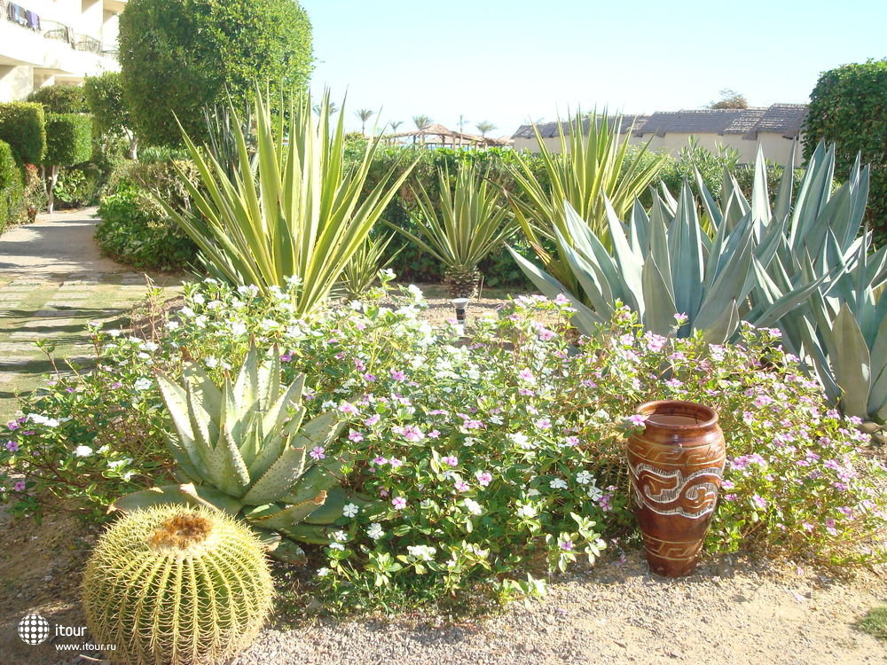 panorama-bungalow-resort-hurghada-168948