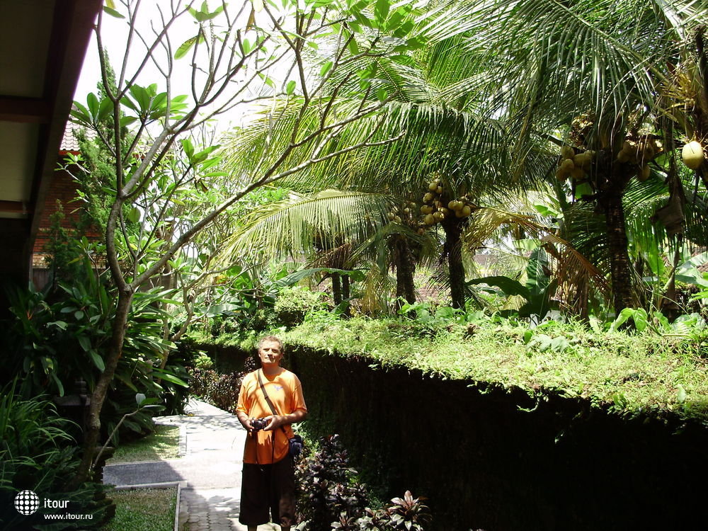 garden-view-cottages-167995