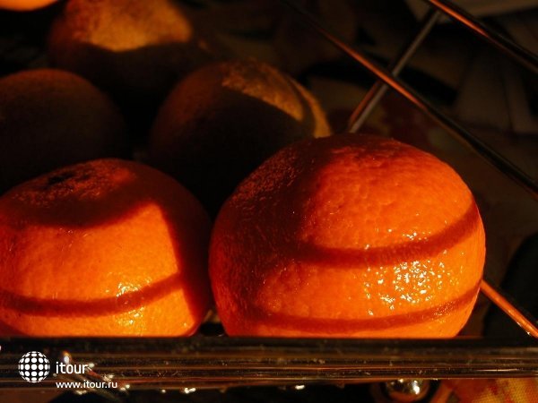 Holiday of gathering of grapefruits