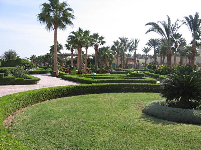 ROYAL PALACE, Египет