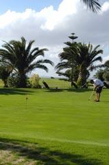 Palm Links golf course