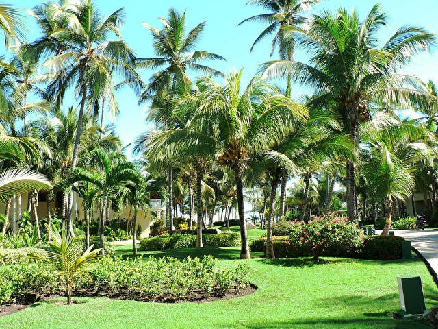 PARADISUS PUNTA CANA, Доминикана