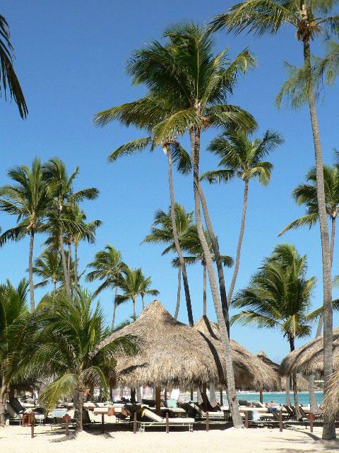 PARADISUS PUNTA CANA, Доминикана