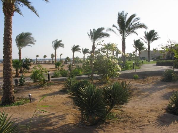 CORAL BEACH, Египет