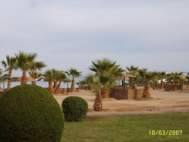 LOTUS BAY SAFAGA, Египет