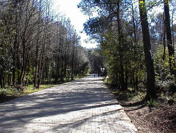Ataturk park