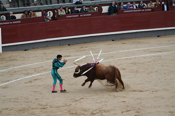 festivals with corridas in Madrid