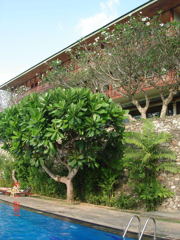 BENTOTA BEACH HOTEL, Шри-ланка