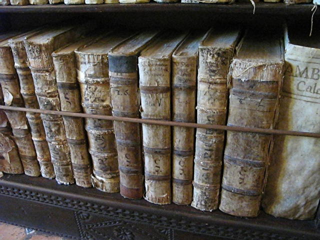 La Cartuja - книги,  XVI век