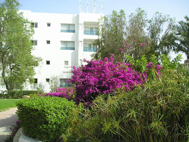 MELIA MAHDIA PALACE, Тунис