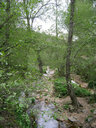 Parque Natural de Monfrague 