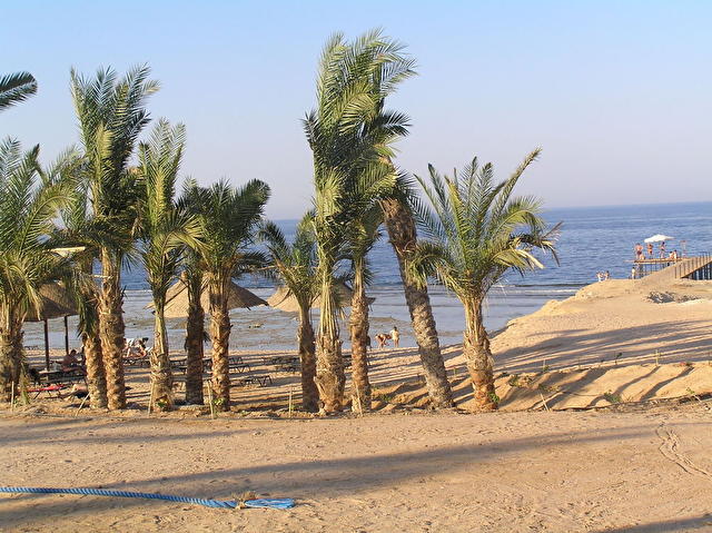 CAROLS MAKADI RESORT , Египет