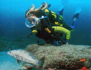 gran canaria diving