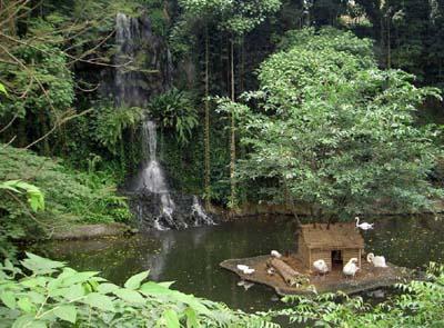 Зоопарк в Коломбо