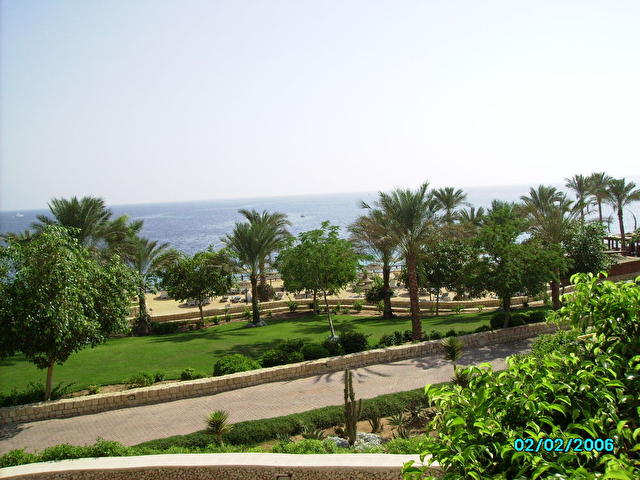 INTERCONTINENTAL, Египет