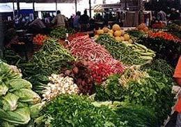 Food Markets Peninsula Bodrum