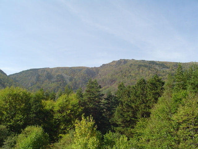 Mountain Vitosha