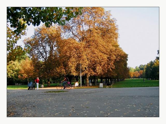 Park of Borisov Gradin