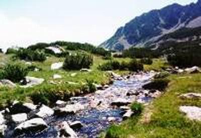 National Park Pirin
