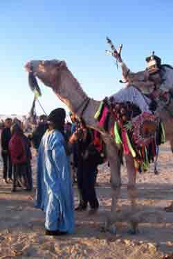 The Festival of the Sahara in Douz