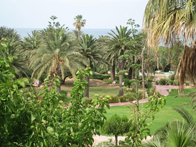 TOUR KHALEF, Тунис